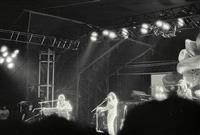 Live Shots